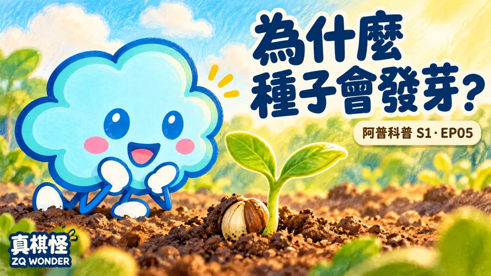 為什麼種子會發芽？小根與小芽的成長觀察｜真奇怪到底為什麼呢？S1 EP05影片封面