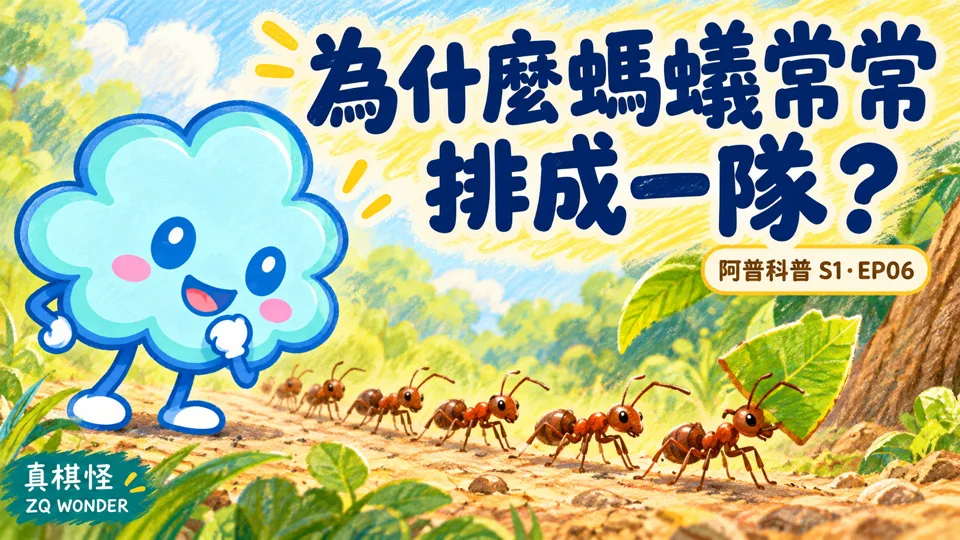 為什麼螞蟻常常排成一隊？觸角與氣味找路｜真奇怪到底為什麼呢？S1 EP06影片封面